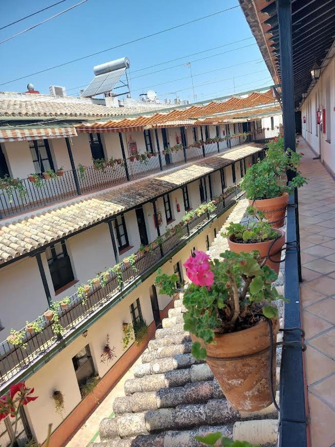 Patio Cartuja Sevilha Exterior foto